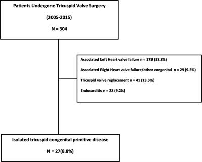 Impact of Isolated Tricuspid Valve Repair on Right Ventricular Remodelling in an Adult Congenital Heart Disease Population